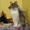 Отзыв от Эмма Астахова